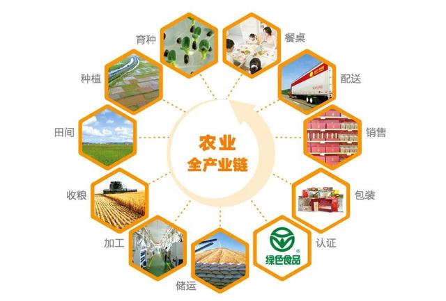 东方集团股份双获殊荣 以农为本，再造领航卓越标杆