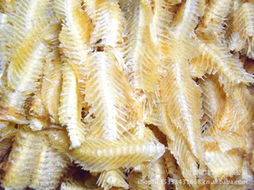 龙口锦隆水产冷冻粗加工水产品系列介绍