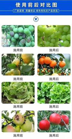 13元素水溶肥 生根壮苗、抗病增产的农业新选择