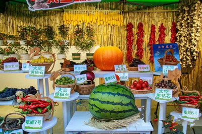 北安农特产品闪耀文博会，黑河“极境寒养”品牌声名鹊起