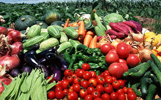 泰州首创 全省首单农产品质量险落地，为“舌尖上的安全”撑起保护伞